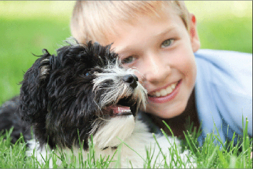 Boy and dog from Crescent vets in Tewkesbury